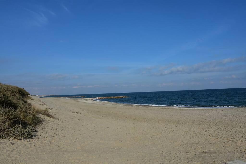 Les Goelettes - Appartement En Rdc Avec Acces Direct A La Plage 생시프리앙 외부 사진